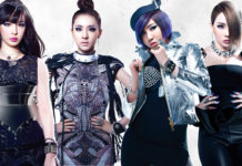 why-did-2NE1-disband